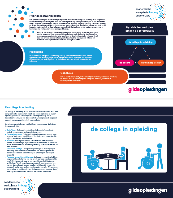 Factsheet Hybride leerwerkplekken